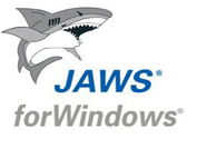 NetObjects Web Design Placeholder